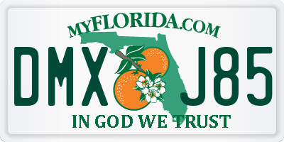 FL license plate DMXJ85