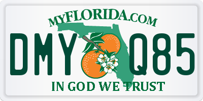 FL license plate DMYQ85