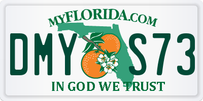 FL license plate DMYS73