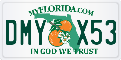 FL license plate DMYX53