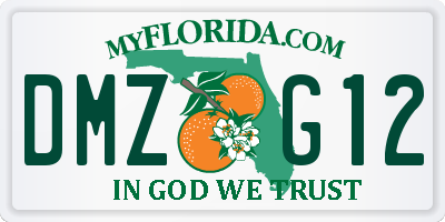 FL license plate DMZG12