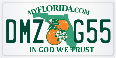 FL license plate DMZG55