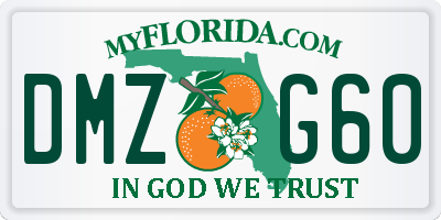 FL license plate DMZG60