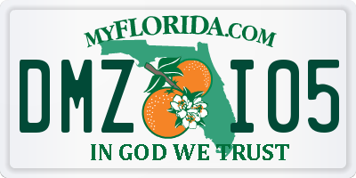 FL license plate DMZI05