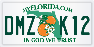 FL license plate DMZK12