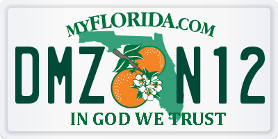 FL license plate DMZN12