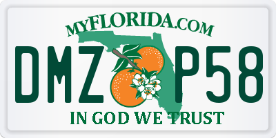 FL license plate DMZP58
