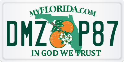 FL license plate DMZP87