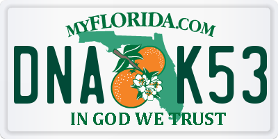 FL license plate DNAK53