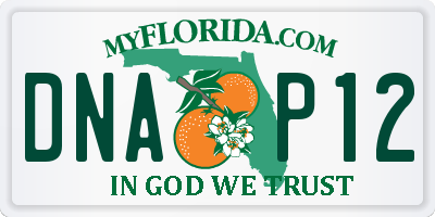 FL license plate DNAP12