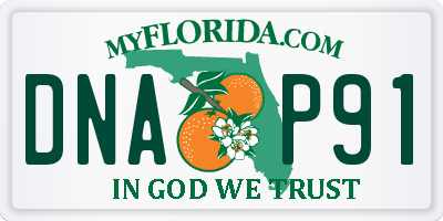 FL license plate DNAP91