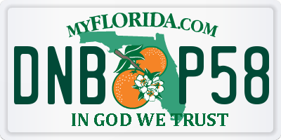 FL license plate DNBP58