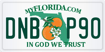 FL license plate DNBP90