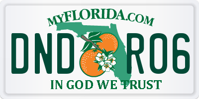 FL license plate DNDR06