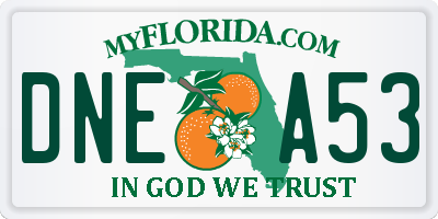 FL license plate DNEA53