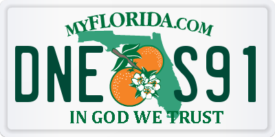 FL license plate DNES91