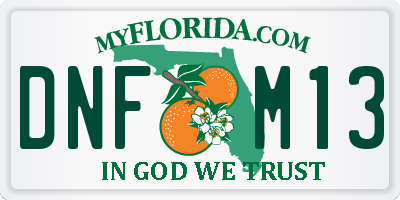 FL license plate DNFM13