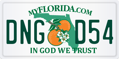 FL license plate DNGD54