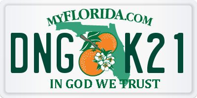 FL license plate DNGK21