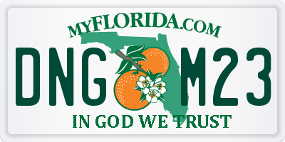 FL license plate DNGM23