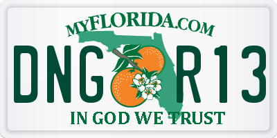 FL license plate DNGR13