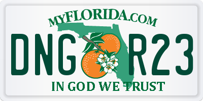 FL license plate DNGR23
