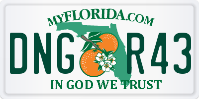 FL license plate DNGR43