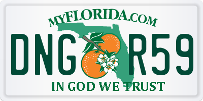 FL license plate DNGR59