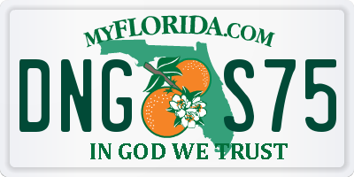 FL license plate DNGS75