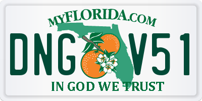 FL license plate DNGV51