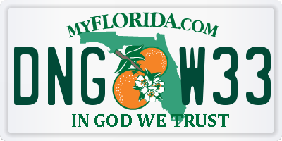 FL license plate DNGW33