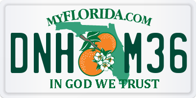 FL license plate DNHM36
