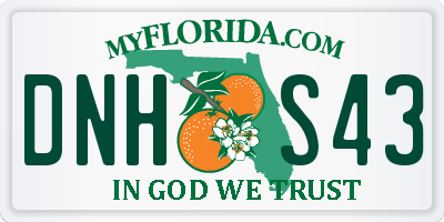 FL license plate DNHS43