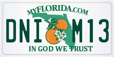 FL license plate DNIM13