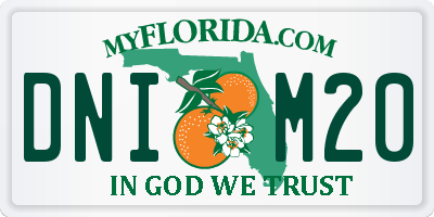 FL license plate DNIM20