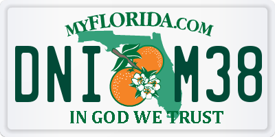 FL license plate DNIM38