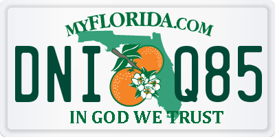 FL license plate DNIQ85