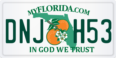 FL license plate DNJH53