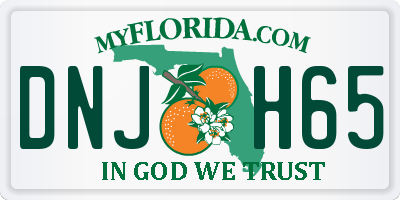 FL license plate DNJH65