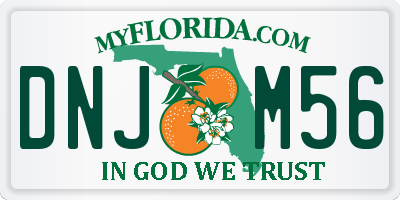 FL license plate DNJM56