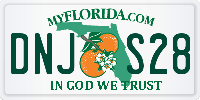 FL license plate DNJS28