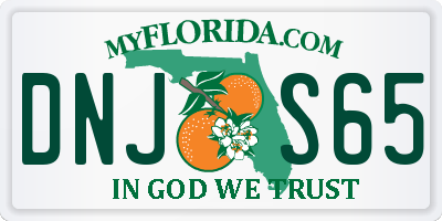 FL license plate DNJS65