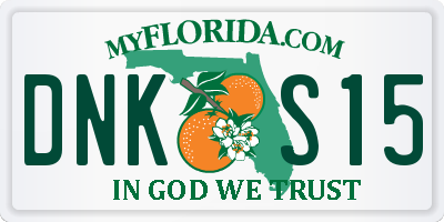 FL license plate DNKS15