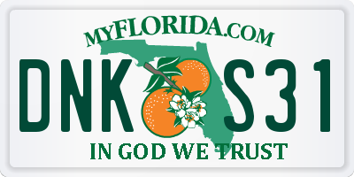 FL license plate DNKS31