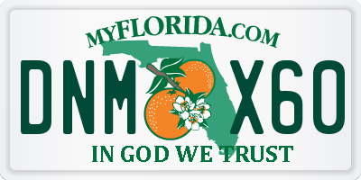 FL license plate DNMX60