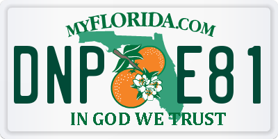 FL license plate DNPE81