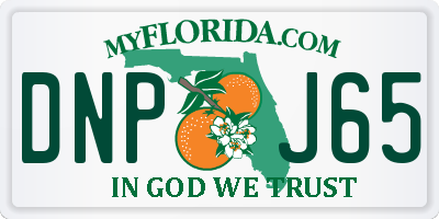 FL license plate DNPJ65