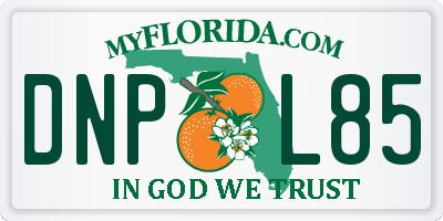 FL license plate DNPL85