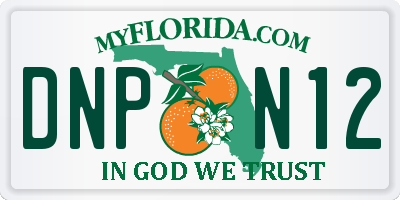 FL license plate DNPN12