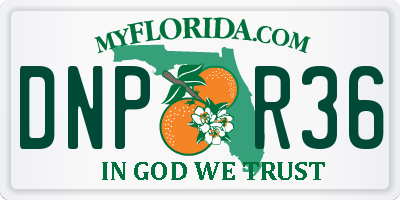 FL license plate DNPR36
